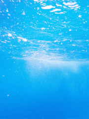 [다자츄] Ocean night