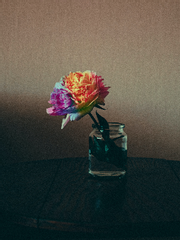 사랑의 순간들로