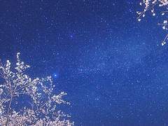 반요를 만나게 된다면 어떻게 하실 생각인가요?