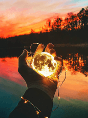 에스테반 헤일러