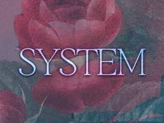 시스템