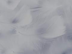 그 녀석이 뭐라고 내 존재가 부정당하는거야?