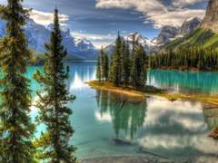 태양곰 서식지에 오신 것을 환영합니다