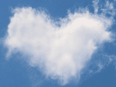 [연성교환] 둘도 없이 소중한 너에게