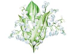 프로젝트 문의 예소드, 마탄의 사수 천사님을 모시는 글