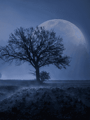 [리무스네]단편