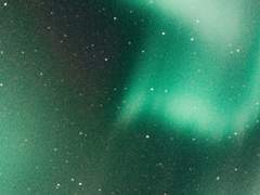 괴물은 인간을 본다