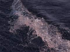 [단독] ＂눈길 조심＂ 유명 아이돌 부상··· 정확한 사고 원인은 현재 내부 조사 중