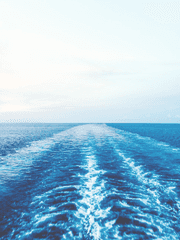 [원피스] 염원이 향하는 대로