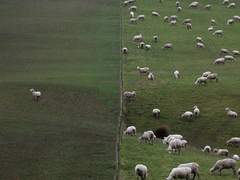 눈으로 말해줘요