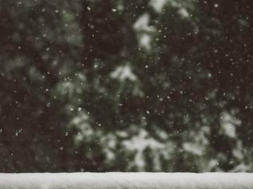 [진슙] 우리의 낙원에는 눈이 내리지 않는다