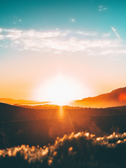 [죠죠의 기묘한 모험/죠죠] 태양은 다시 떠오르고