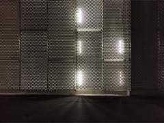 더는 죽지 않을 그 무언가