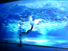 연성교환/ 맞커미션