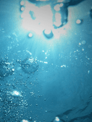 [트위스테] Eating your heart