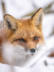 원수는 이웃집에서 만난다