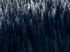 메리 화이트 크리스마스 이브