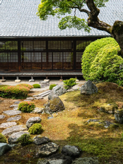 임시 보호소 히바리네