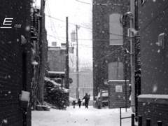 미스터 덴티스트