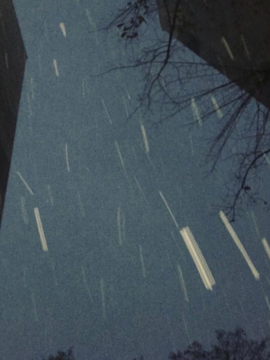 덫에 치인 범이요, 그물에 걸린 고기라