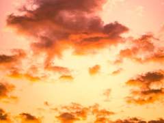 청명⁄당보 논커플링｜ 살을 베는 소리가 선명하게 들린다.