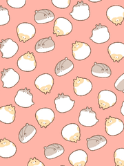 이사카와 미후유