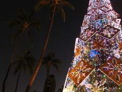 [재숕] Merry Christmas