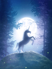 드라이애드 마법학교