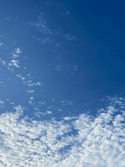 VoLte-FAcE [볼트 페이스]