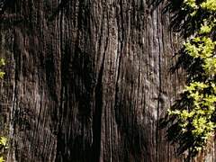 [김 현우/27/XY] 공개 프로필