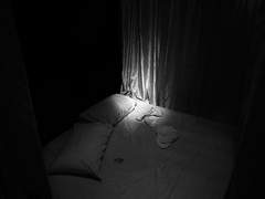 달맞이꽃은 낮에 피지 않는다 (中)