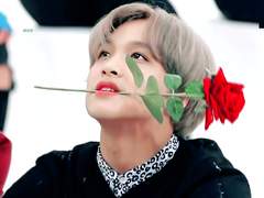 수인이 반려가 될 수 있다고 생각한 적이 있습니까??