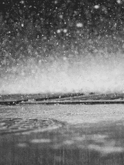 그것은 사랑이 아니다.(2.5D)