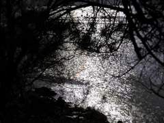 전독시 배경화면