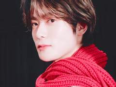 스파이시 쉬림프 外-0 크리스마스