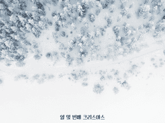 열 몇 번째 크리스마스