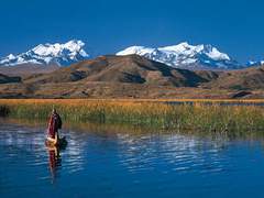 크렉트윅-운명적 온도는 몇 도일까