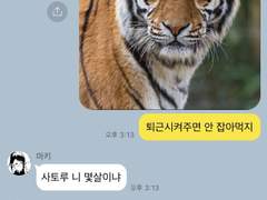 주술회전 드림 카톡 카피페 53