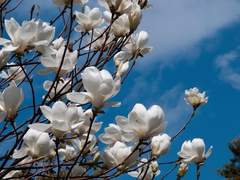 지독히 애달픈 사랑을 했습니다.