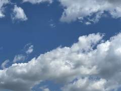 메밀꽃필 무렵이란