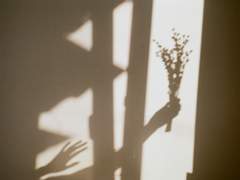 타로 커미션 공지.