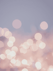 황자와 그의 작은 티벳여우