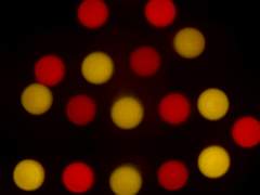 [칼윈] 크리스마스니까