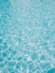 청춘::끝자락의 여름 아래