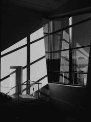 회색이 되가는 우리