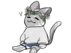 밀곰쥬냥이 백업