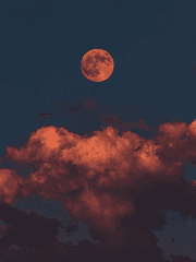 멸망한 세상에서 발할라를 만드는 방법