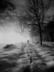 실렌프리의 기사들