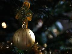 어찌하여 오게 되었습니까