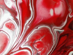 [성향시] 생과 닮은 고통